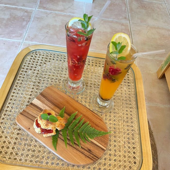 봉봉농원 묘목카페 생방송 오늘 저녁