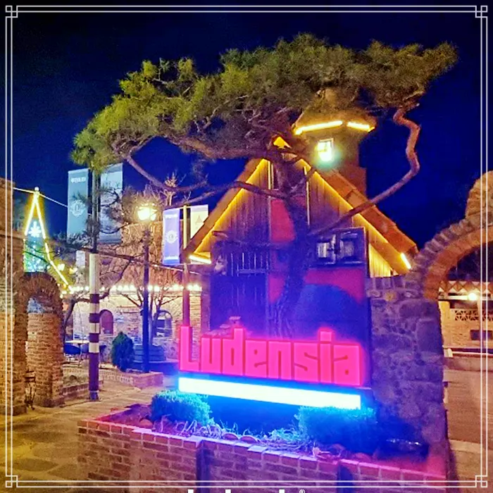 여주 맛집 달콤 디저트, 구움 과자, 향긋한 티