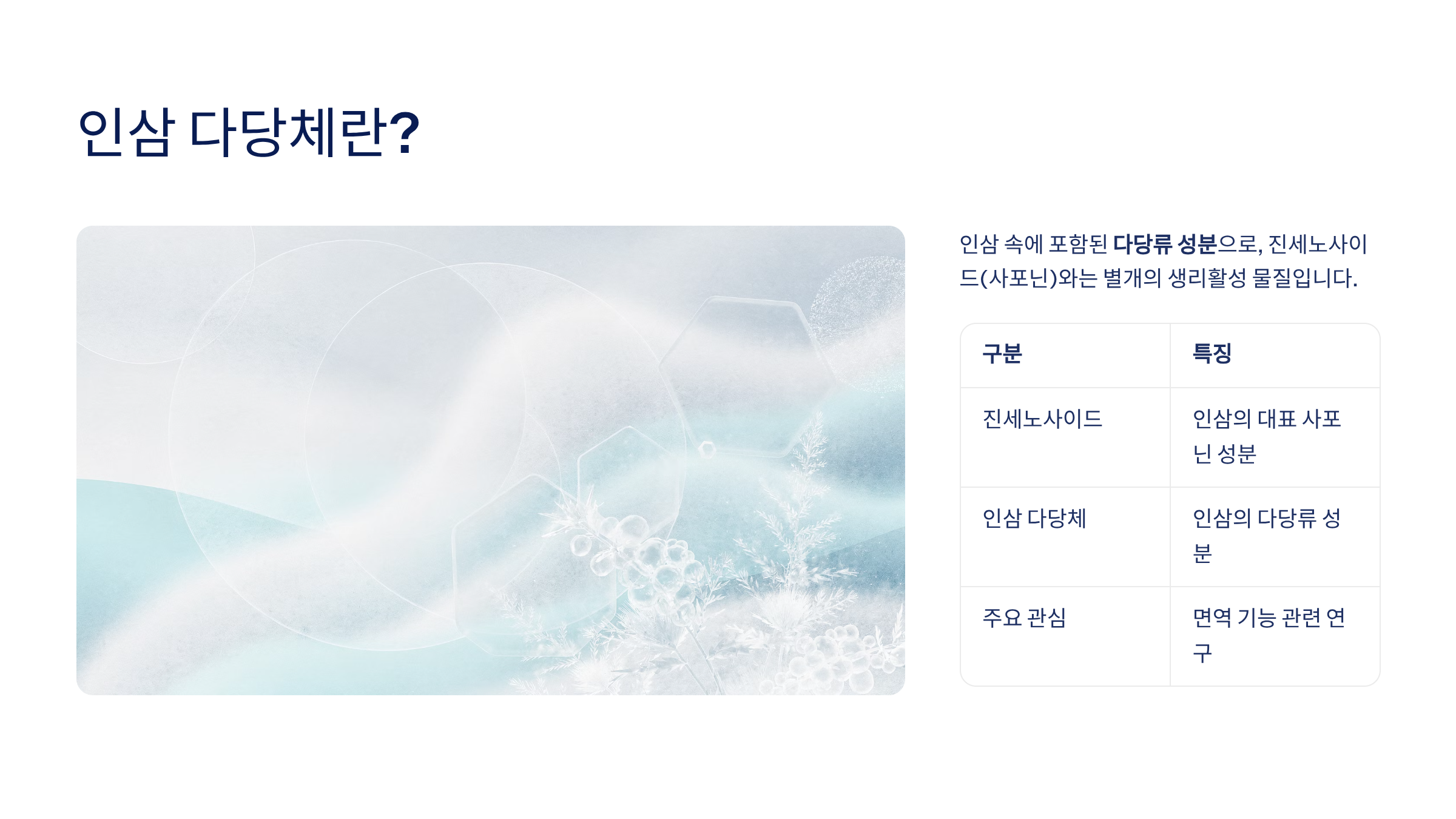 인삼 다당체효능 인삼 다당체가격 인삼 다당체란