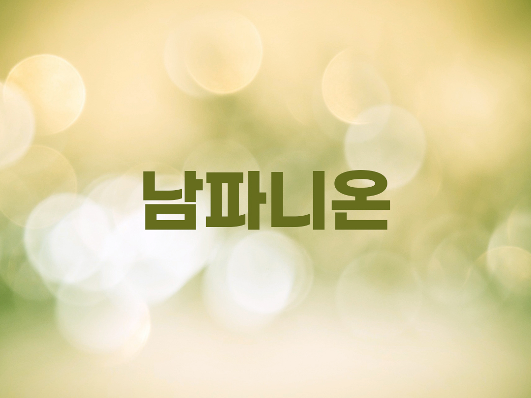 남파니온 천주교 남자세례명