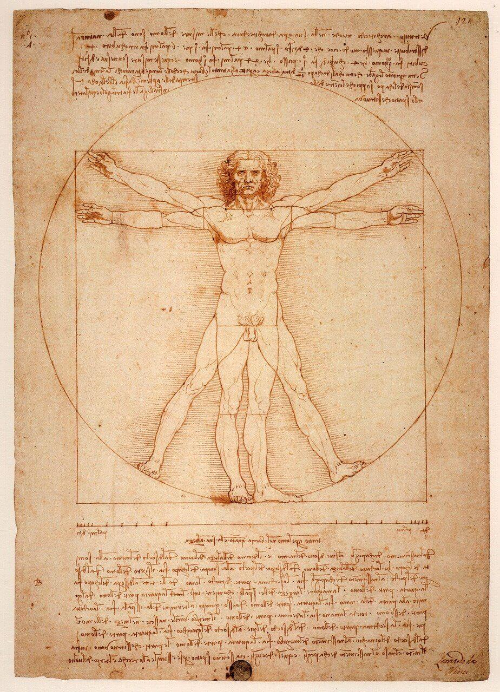 비트루비안 맨(The Vitruvian Man)