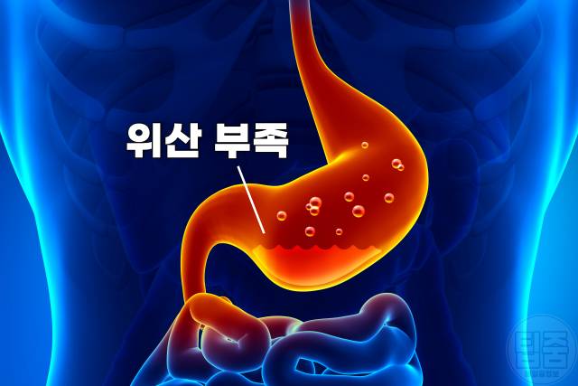 위에좋은음식 양배추 먹으면 안되는 사람 양배추먹는법 양배추 생으로 먹으면