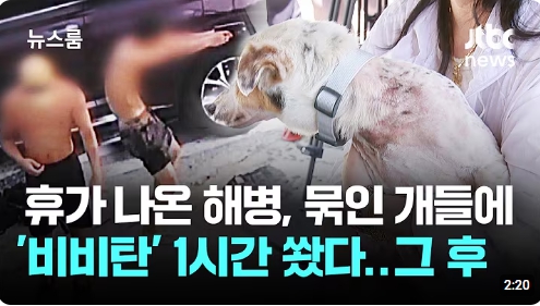 충격적인 사례 : 비비탄 총 난사 사건