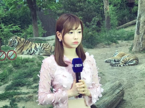 강아랑 기상캐스터 프로필 총정리｜나이 35세·KBS 퇴사 이유·수의사 남편·결혼·임신 발표·인스타그램