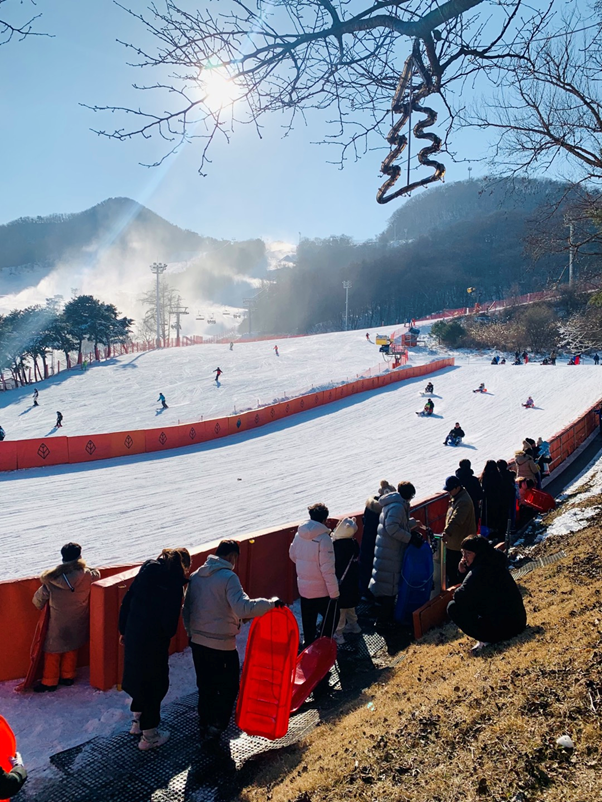 지산스키장-100% 이용방법