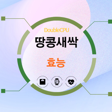 땅콩새싹 효능 탐구