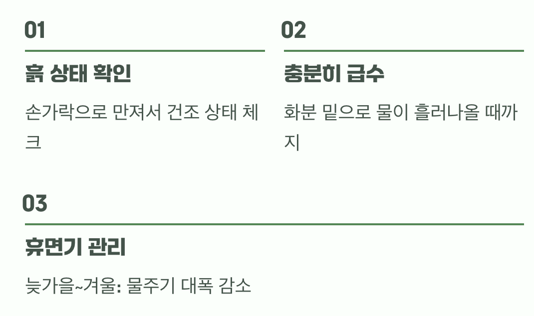 과하지 않은 물주기의 기술