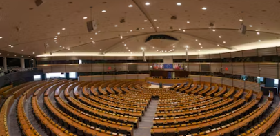 당대표 원내대표 차이