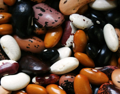 당뇨에 좋은 음식 23