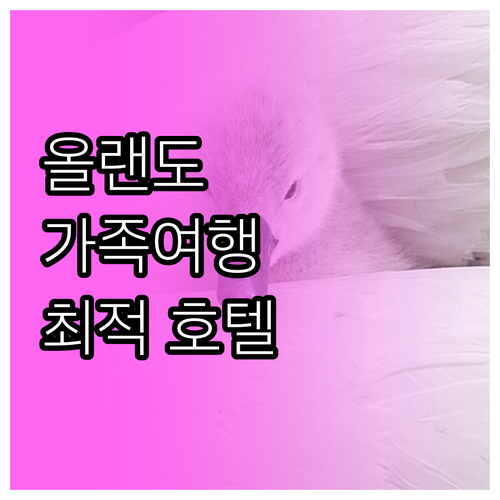 올랜도 가족여행 추천 호텔! 씨월드,..