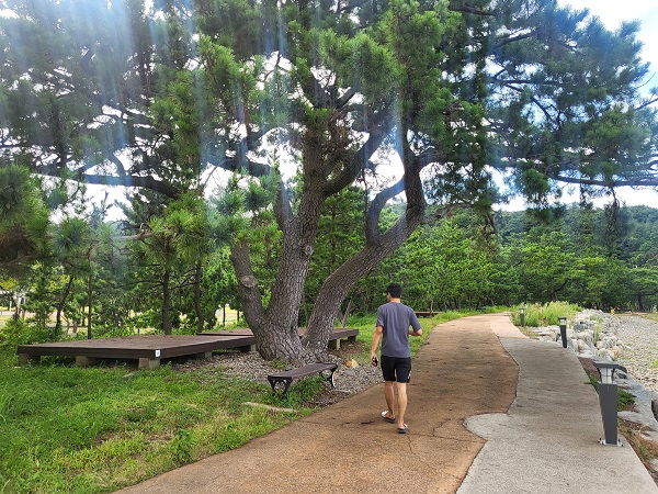 전남 고흥 나로우주센터 우주과학관 외부 산책길 캠핑장 데크