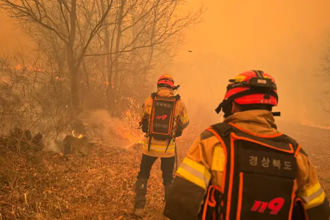 의성-산불-성묘객-실화