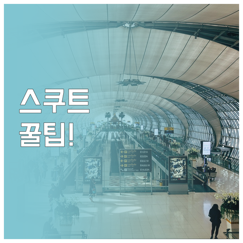 스쿠트항공 인천공항 제1터미널 이용 ..