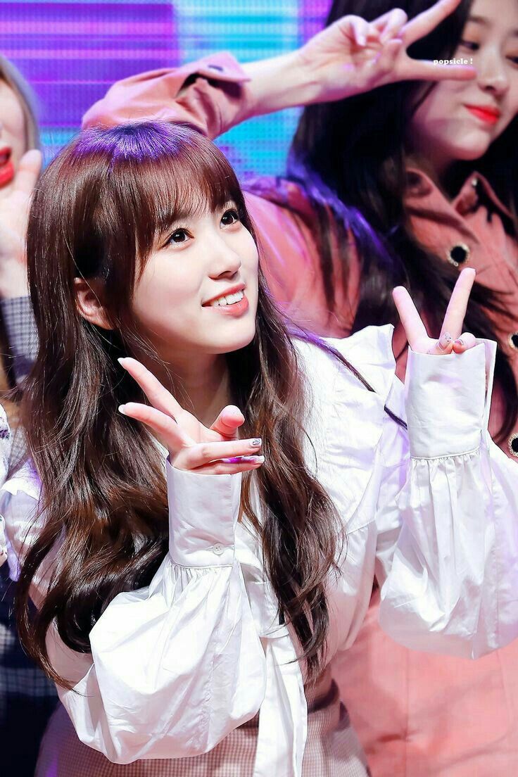 아이즈원 야부키나코 아이즈원 야부키나코