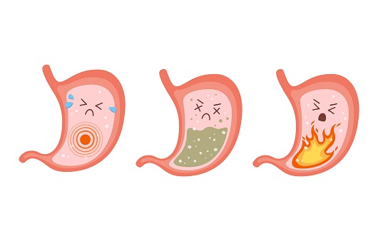 소화불량 소화가 안되면 살이 더 찔까? 소화 잘되는 사람 다이어트 진실