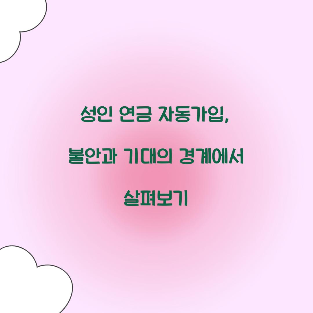 성인 연금 자동가입