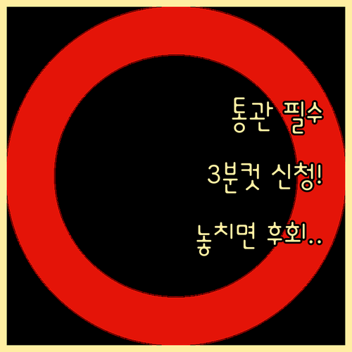 개인통관고유부호 발급 조회 유니패스 ..