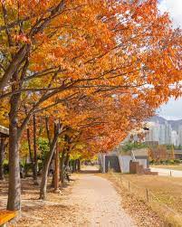 부산 시민공원