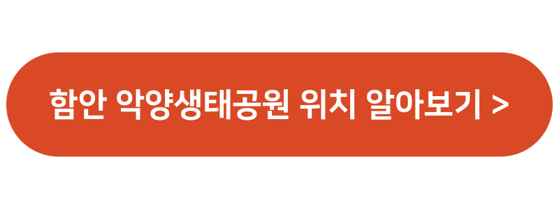 금계국 꽃 명소 생태교란종 파종시기 큰금계국 구별