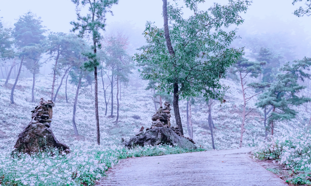 공주 구룡사