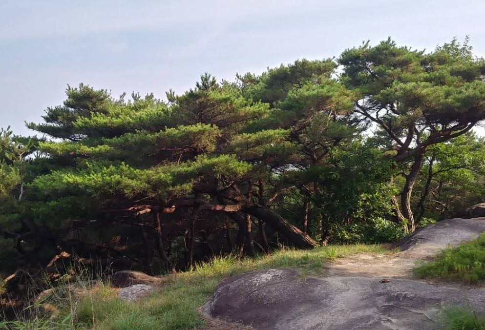 배산공원