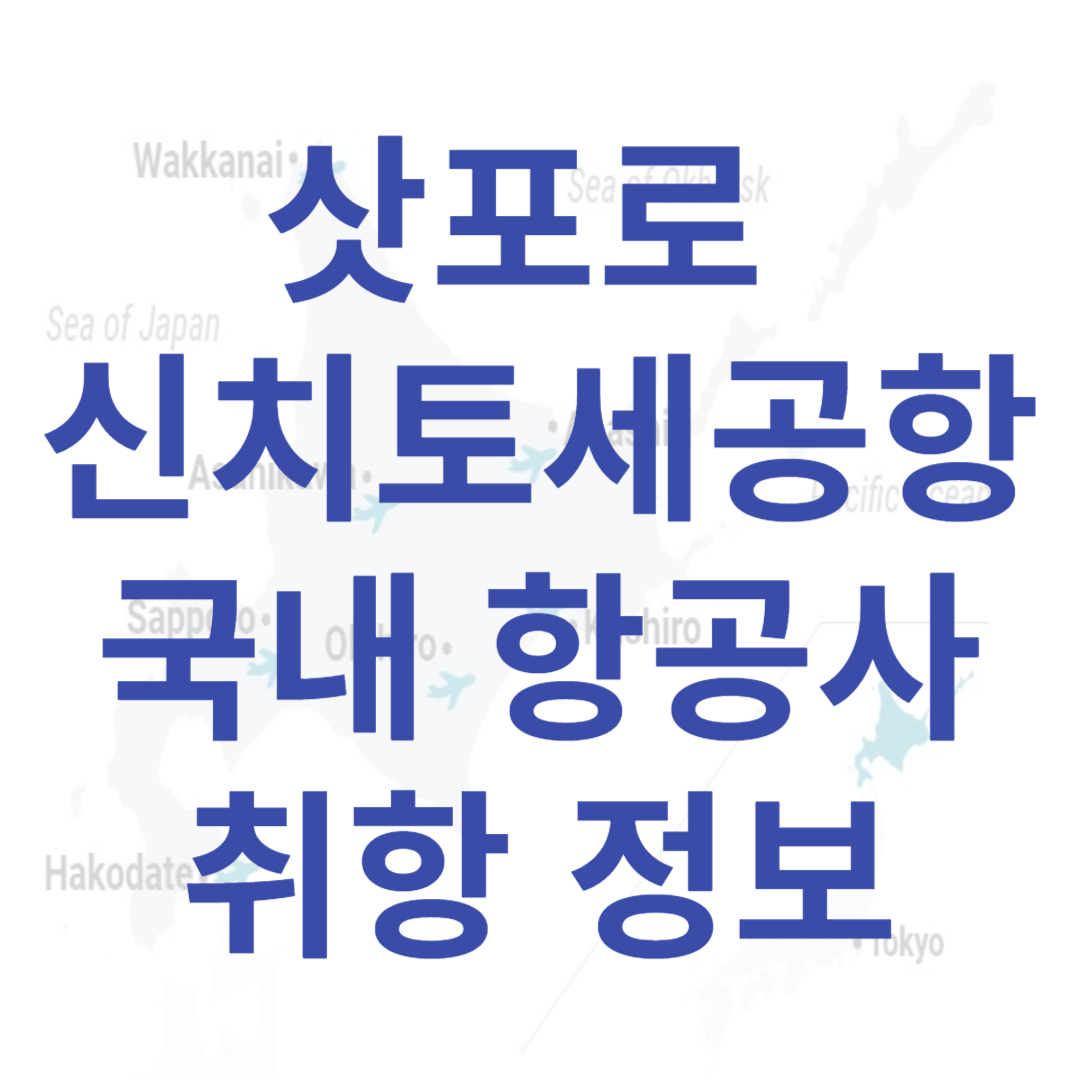 삿포로 신치토세공항 국내항공사 정보