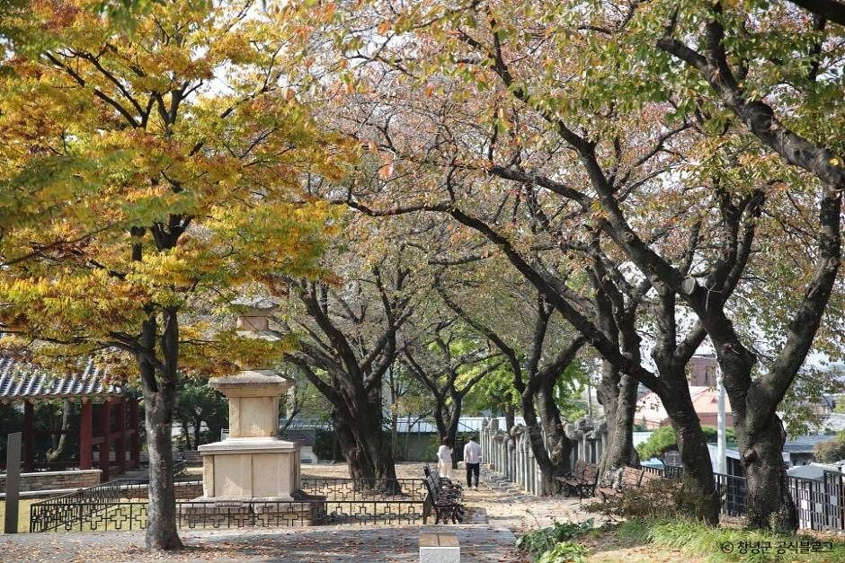 창녕 가볼만한곳 베스트10