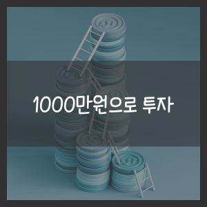 1000만원으로 투자