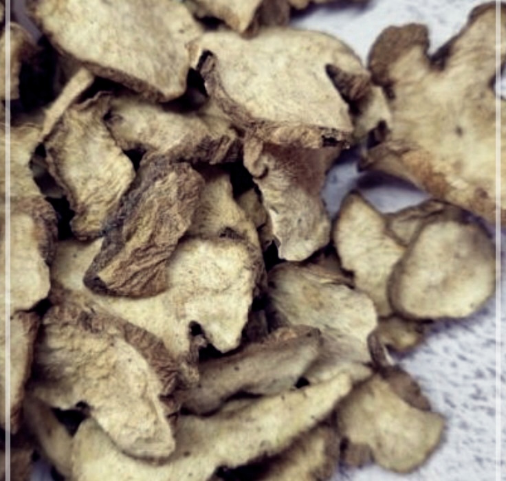 삽주뿌리의 숨겨진 비밀: 매일 섭취하면 벌어지는 놀라운 변화