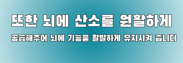  또한 뇌에 산소를 원활하게 공급해주어 뇌에 기능을 활발하게 유지시켜 줍니다