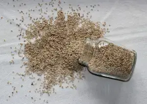 깨-사진