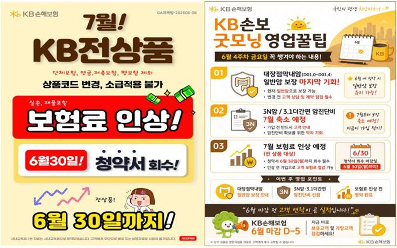 보험료인상(KB손보)