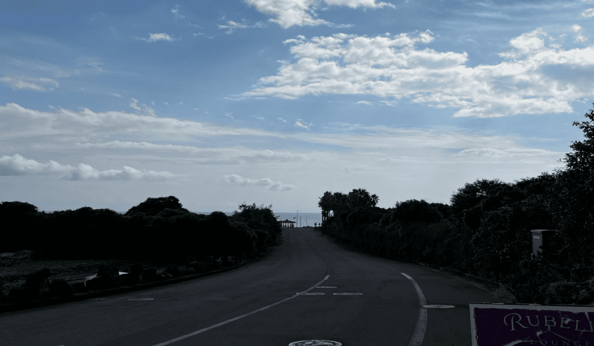 제주_렌트카_비교사이트_24