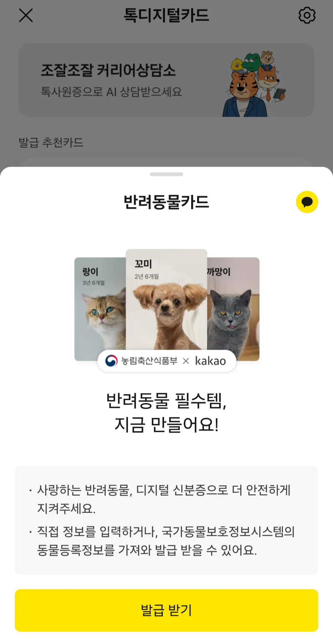 카카오톡 반려동물카드 발급