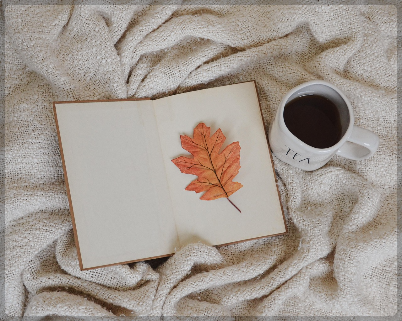 독서를 활용한 창의력 향상법