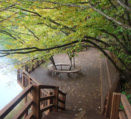 산막이옛길과 산막이호수길 정보 안내