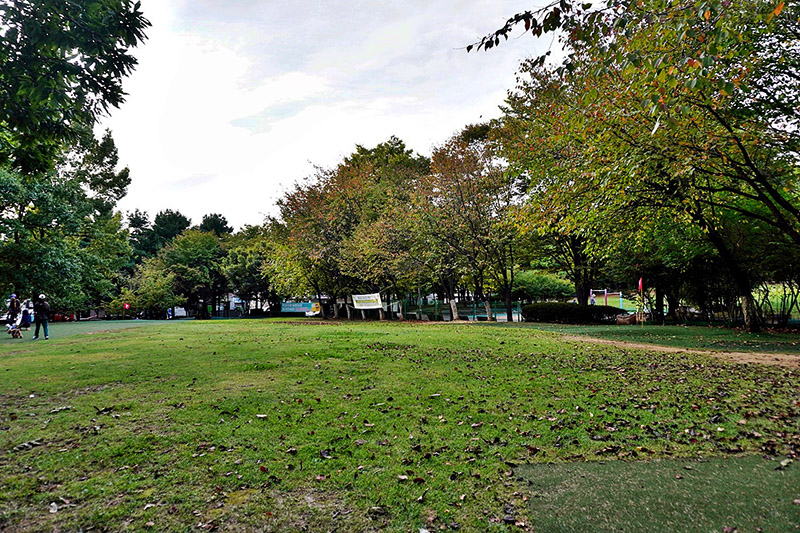 경기도 고양시 화정파크골프장 (화정 은빛공원 파크골프장)