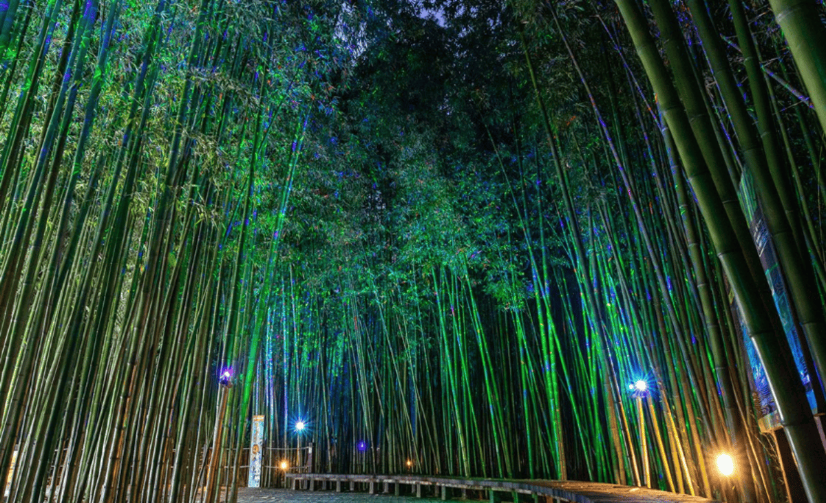 울산 태화강 국가정원