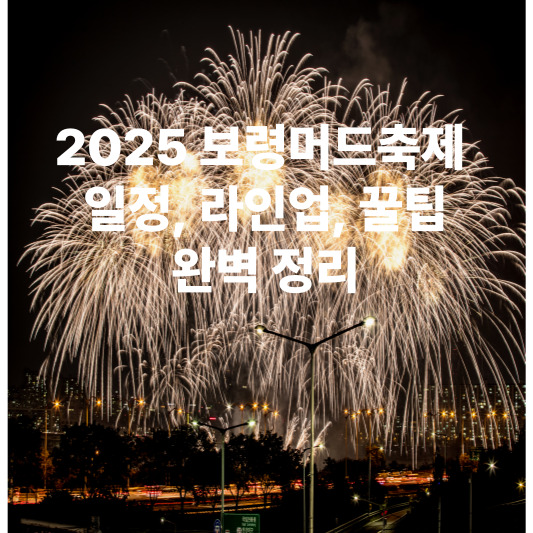 2025 보령머드축제 : 일정, 라인업, 꿀팁, 완벽 정리