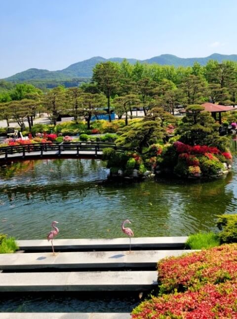 24년 11월 전국 가을축제