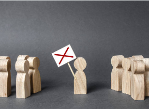 대통령 국민변호인단 홈페이지