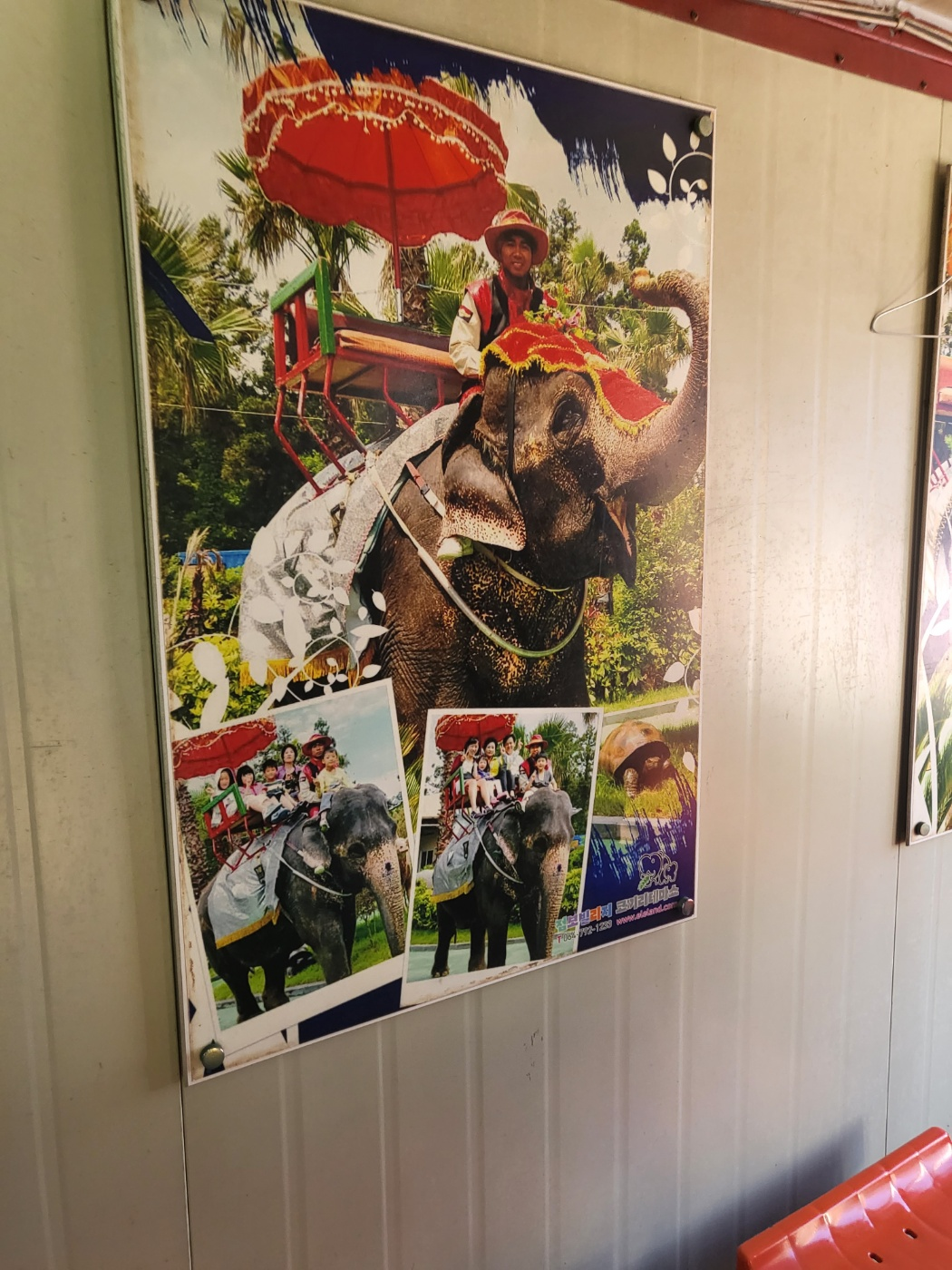 제주도 아이와가볼만한곳&amp;#44; 점보빌리지