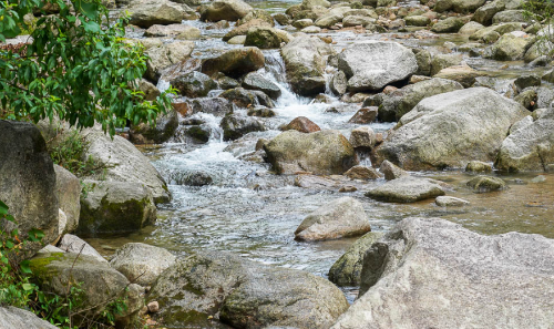 서울 근교 여름 휴가