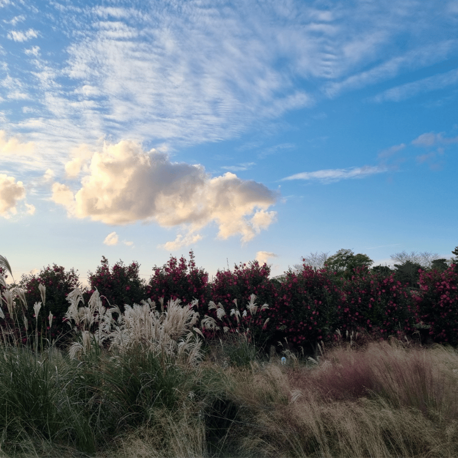 바람 따라, 마음 따라 친구들과 떠나는 감성 드라이브