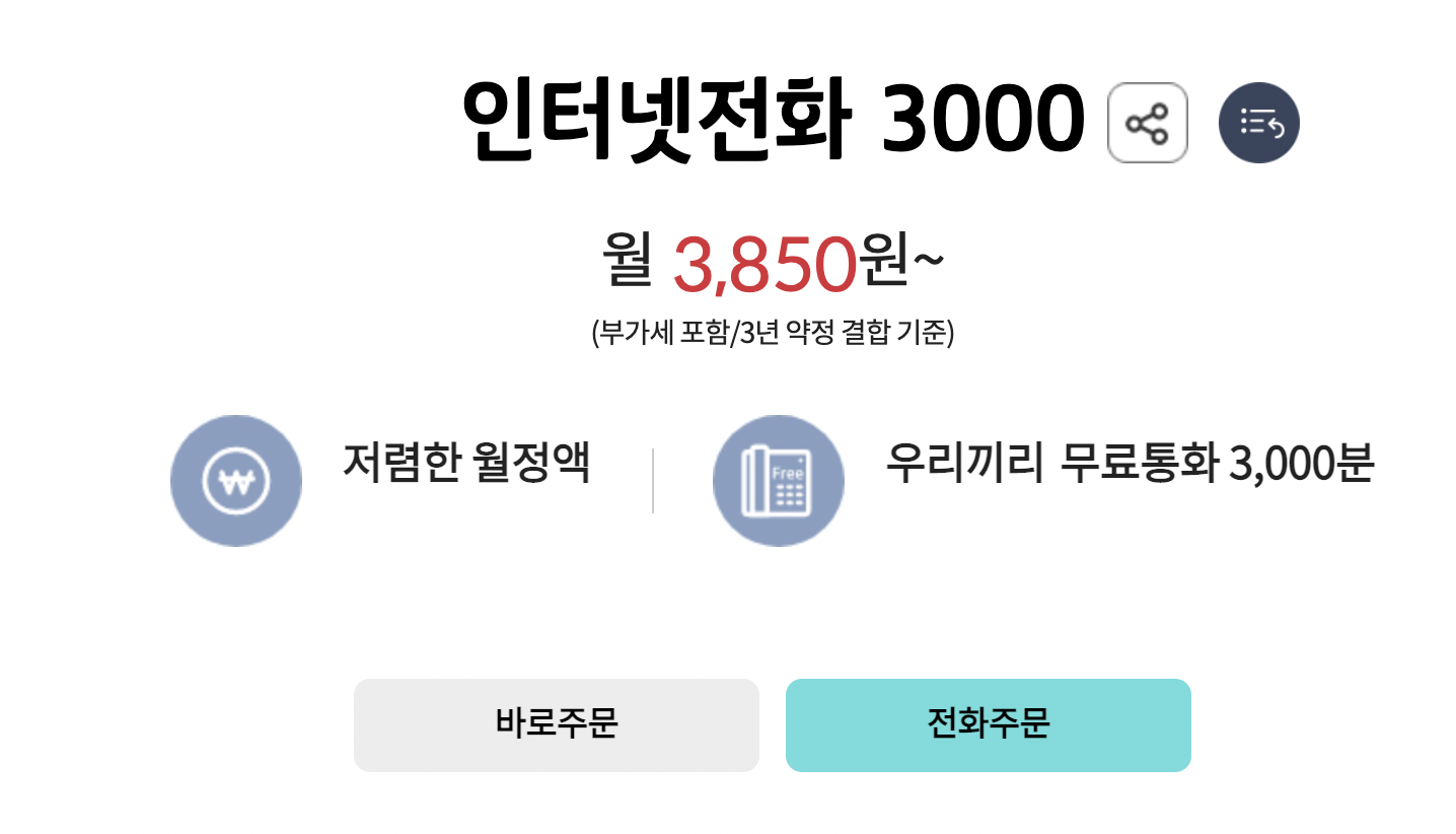 KT집전화 인터넷전화