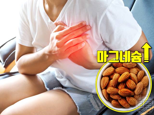 아몬드 물에 불리기 아몬드 물에 불리는 시간 아몬드효능 심장
