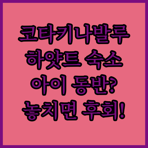 코타키나발루 숙소 선택 가이드 하얏트..