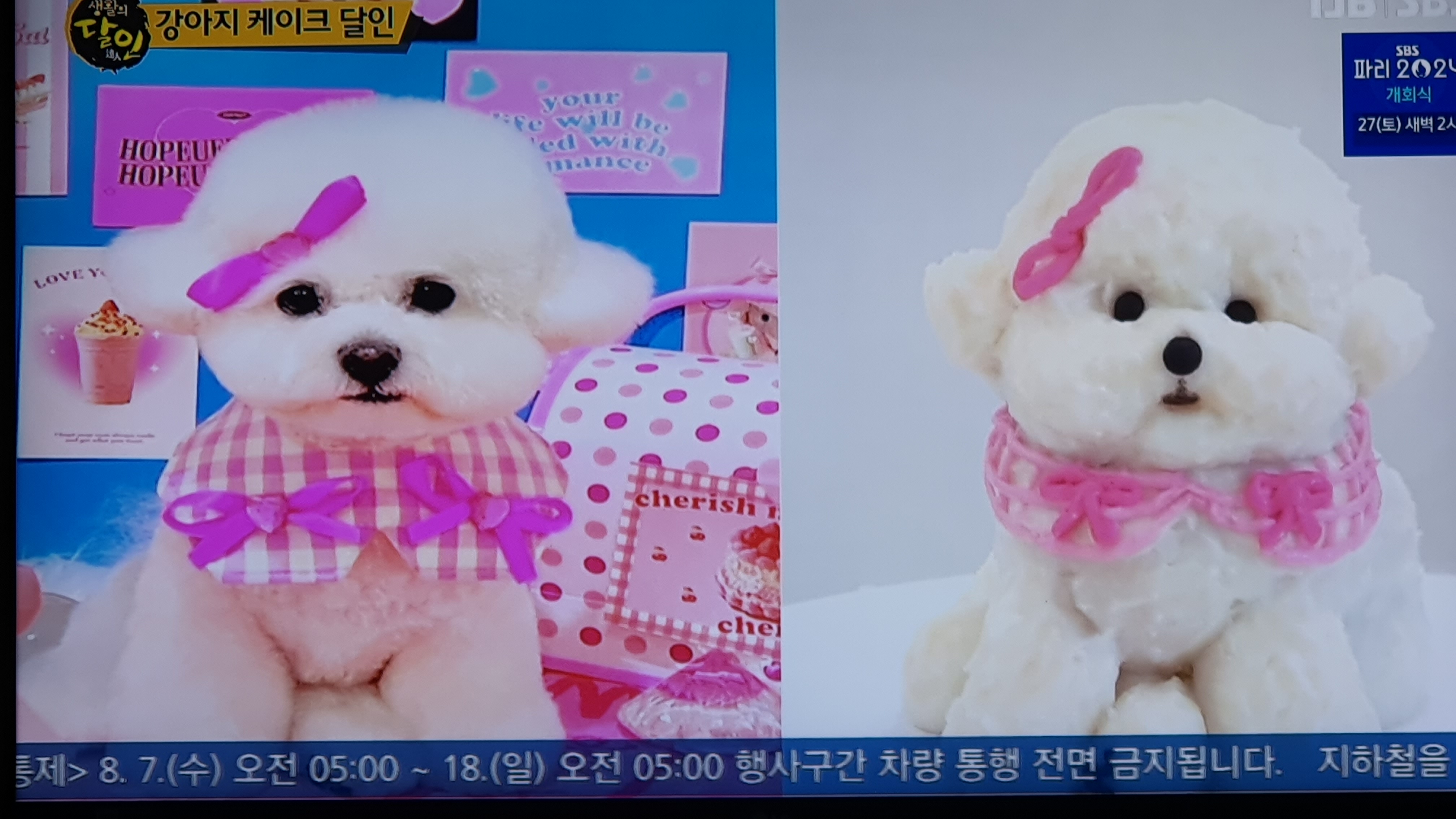 왈테이블 가격 정보