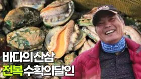 생생정보 수확 달인 미사리 커피농장 소개_6