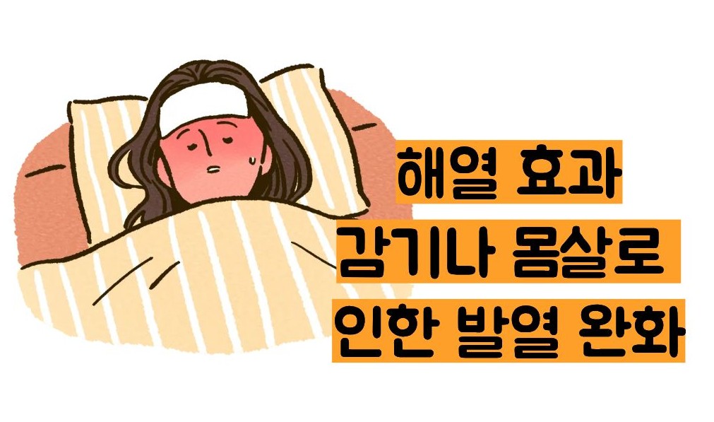 이부프로펜 효능
